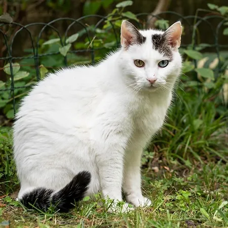 Gaestezimmer Plaenke Appartement