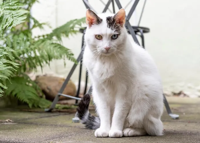 Appartamento Gaestezimmer Plaenke *