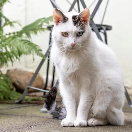 Apartament Gaestezimmer Plaenke *